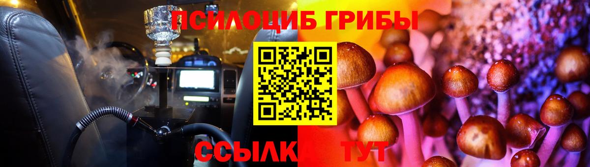 Галлюциногенные грибы GOLDEN TEACHER  Вход с VPN  Северск  Галлюциногенные грибы Psilocybine cubensis 