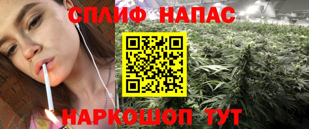 Бошки Шишки AK-47  Конопля MAZAR  Северск  Марихуана марихуана  Вход с VPN 